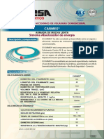 FT-Carmex.pdf