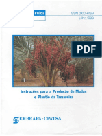 Tamareira PDF