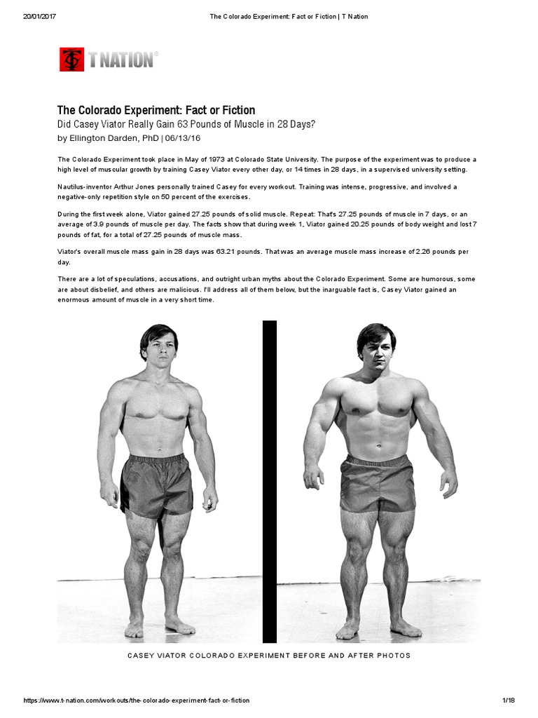 Colorado Experiment: Muscle Gain Facts | PDF | Strength Training | Elbow