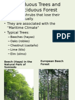 Trees and Shrubs That Lose Their Leaves Annually. - They Are Associated With The "Maritime Climate" - Typical Trees