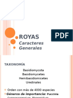 ROYAS