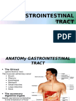 Sistem Gastriintestinal