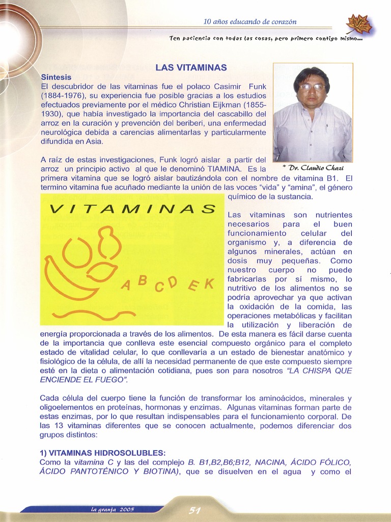 Las Vitaminas Pdf Pdf