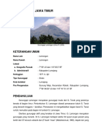 G._Lamongan.pdf