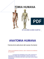 (1) Generalidades - Osteologia Del M. Superior (1 y 2)