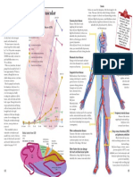 CVD Atlas 01 Types PDF