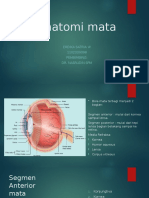 PPT Referat Anatomi Mata 