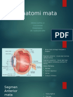 Referat Anatomi Mata