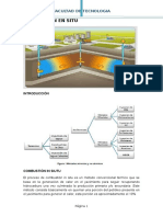 Combustion en Situ