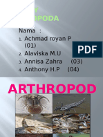 Arthropoda