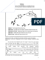 Akhir Tahun 2015 - Tahun 4 - BI - Kertas 2 PDF