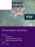 Pemeriksaan Penunjang