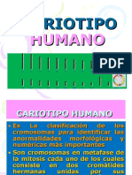 CARIOTIPO HUMANO (1).ppt