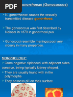 Neisseria gonorrhoeae.ppt