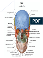 Netter Anatomy.pdf
