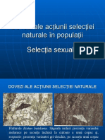 Dovezi Ale Selectiei Naturale Selectia Sexuala