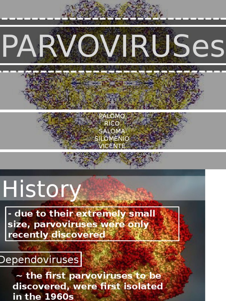 The Ultimate Guide To Parvovirus In Goats - 32nlyrg