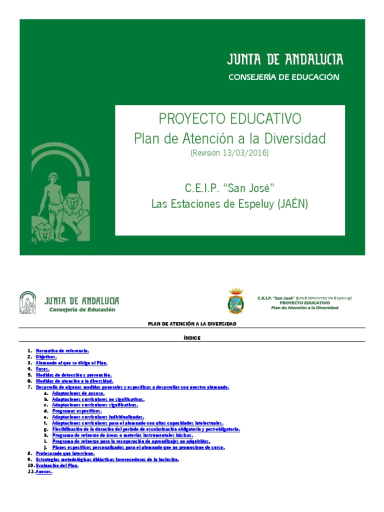 08 Plan Atención A La Diversidad | PDF | Educación especial | Maestros
