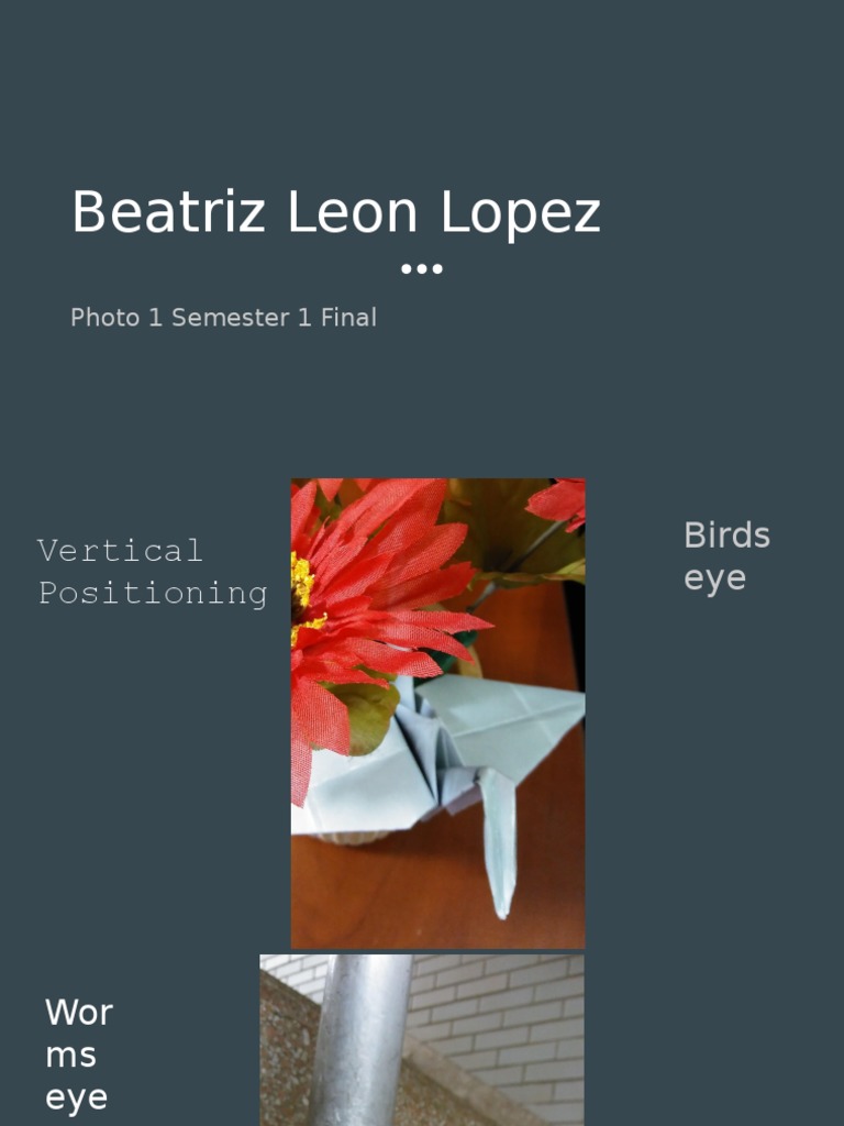 Photo 1 Final Beatriz Leon | PDF