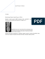 Embriologi Sistem Saraf Pusat