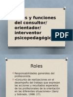 Roles Funciones Consultor