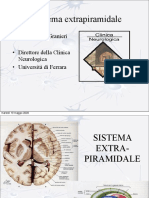 Neuroanatomia