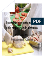 Procedimientos Fundamentales PDF