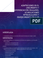 Adaptaciones en El Crecimiento y Diferenciación Celulares