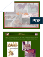 Hernia PDF