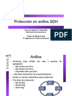 25-ProteccionAnillosSDH_1pp.pdf