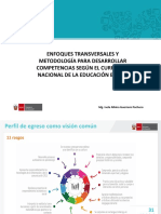 Currículo Nacional 2017 PDF