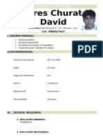 Flores Churata David: Curriculum Vitae