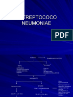 8.1 Estreptococo Neumoniae (Practica)