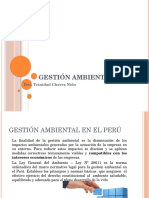 10 Gestión Ambiental