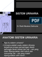 Sistem Traktus Urinarius