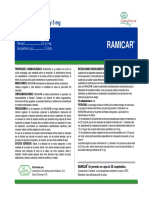 Microsoft PowerPoint - RAMICAR