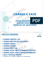 Crânio e Face