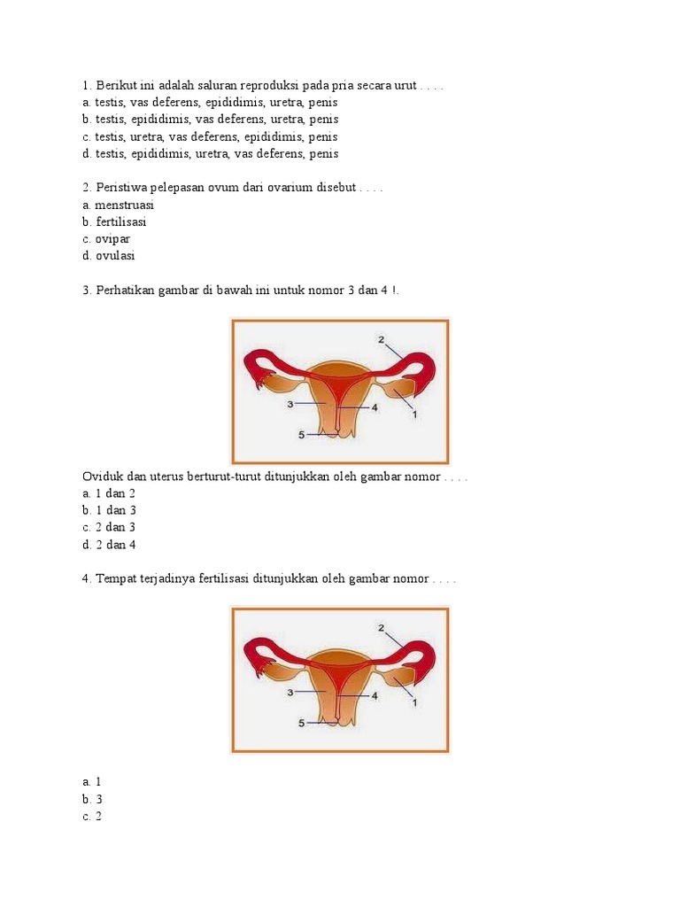 Soal Sistem Reproduksi