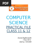 Class 12 Practical File