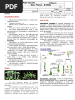 Aula Reino Plantae - Resumo Briófitas