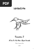 Xamanismo - Encontro 2 - V1