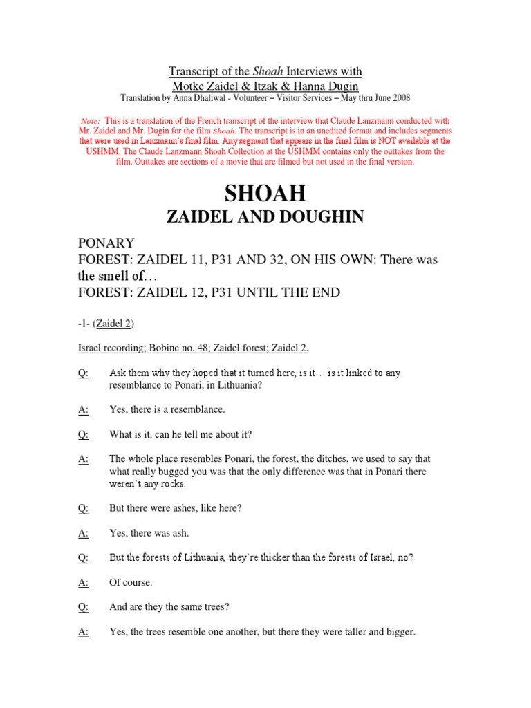 Shoah Interviews: Zaidel & Dugin Insights | PDF | Odor | Violence