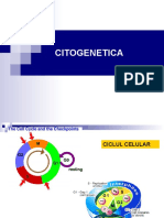 Cito Genetic A