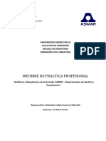 Informe Practica Profesional