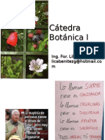 1.clase - Introduccion Botanica