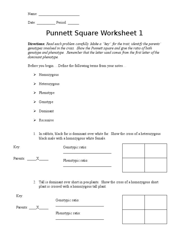 Punnett Square Worksheet 1 Zygosity Genotype