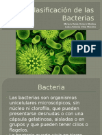 Clasificacindelasbacterias 131107204235 Phpapp01