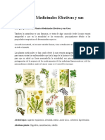 230 Plantas Medicinales Efectivas y Sus Usos