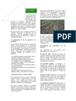 Cal Agricola para produccion de cultivos - Ignacio Lazcano.pdf