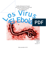 Trabajo Virus Ebola
